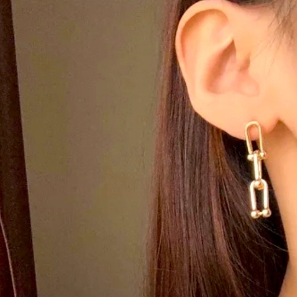 Chain Link Earrings 🆕 - Picture 1 of 3